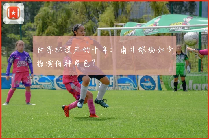 世界杯遗产的十年:南非球场如今扮演何种角色?