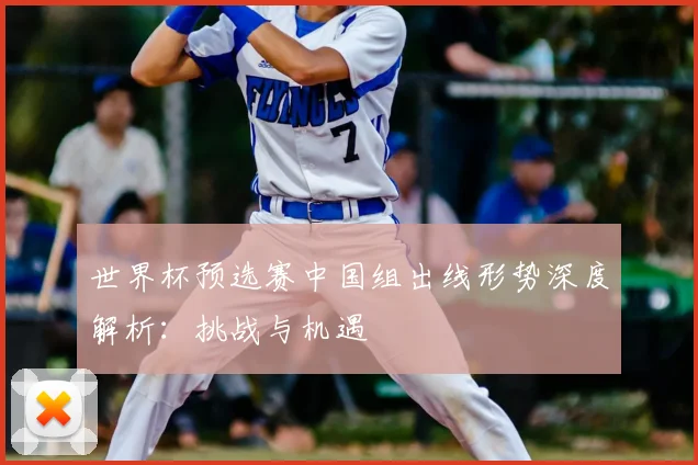 世界杯预选赛中国组出线形势深度解析：挑战与机遇