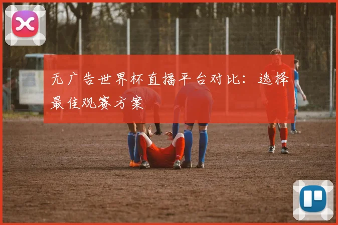 无广告世界杯直播平台对比：选择最佳观赛方案