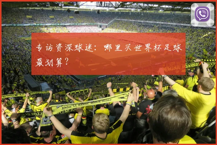 专访资深球迷:哪里买世界杯足球最划算?
