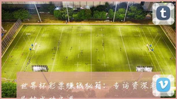世界杯彩票赚钱秘籍：专访资深彩民的成功之道