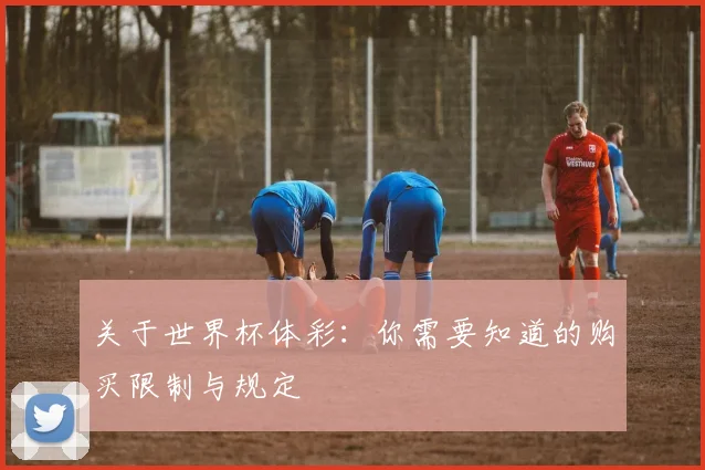 关于世界杯体彩：你需要知道的购买限制与规定